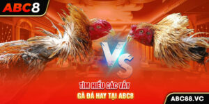 tim-hieu-cac-vay-ga-da-hay-tai-abc8