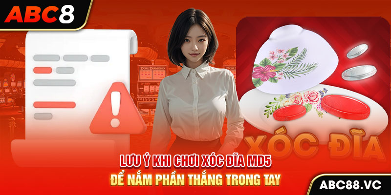 luu-y-khi-choi-xoc-dia-md5-de-nam-phan-thang-trong-tay