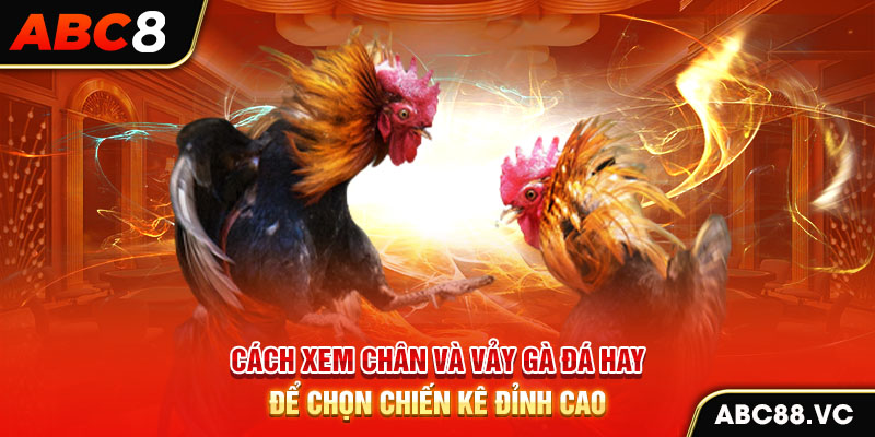 cach-xem-chan-va-vay-ga-da-hay-de-chon-chien-ke-dinh-cao