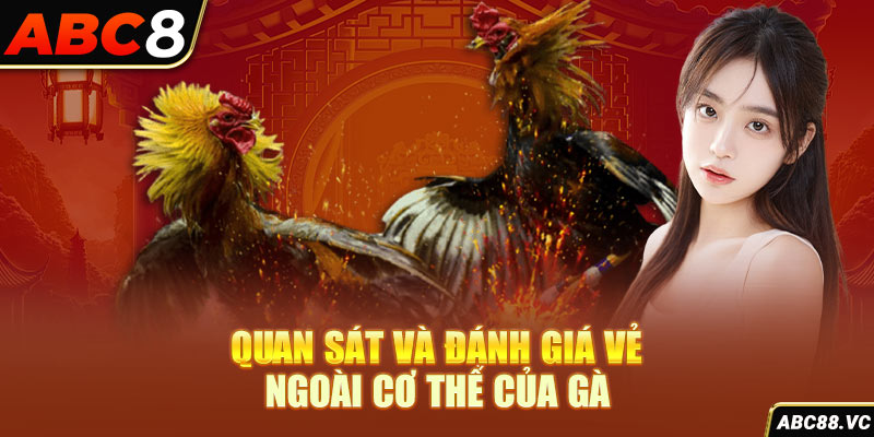 quan-sat-va-danh-gia-ve-ngoai-co-the-cua-ga