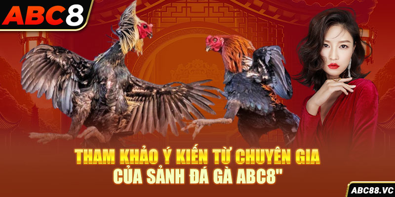 tham-khao-y-kien-tu-chuyen-gia-cua-sanh-da-ga-abc8