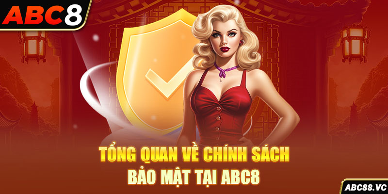 tong-quan-ve-chinh-sach-bao-mat-tai-abc8